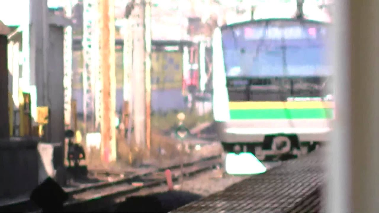 東海道、京浜東北線E233系発着