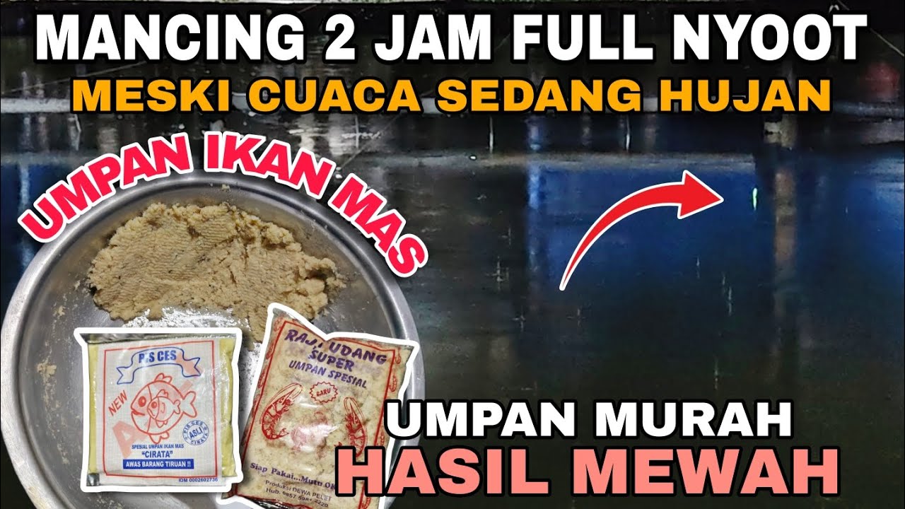 UMPAN HEMAT HASIL NIKMAT ....‼️ Mancing Ikan Mas Malam Hari Cuaca Hujan