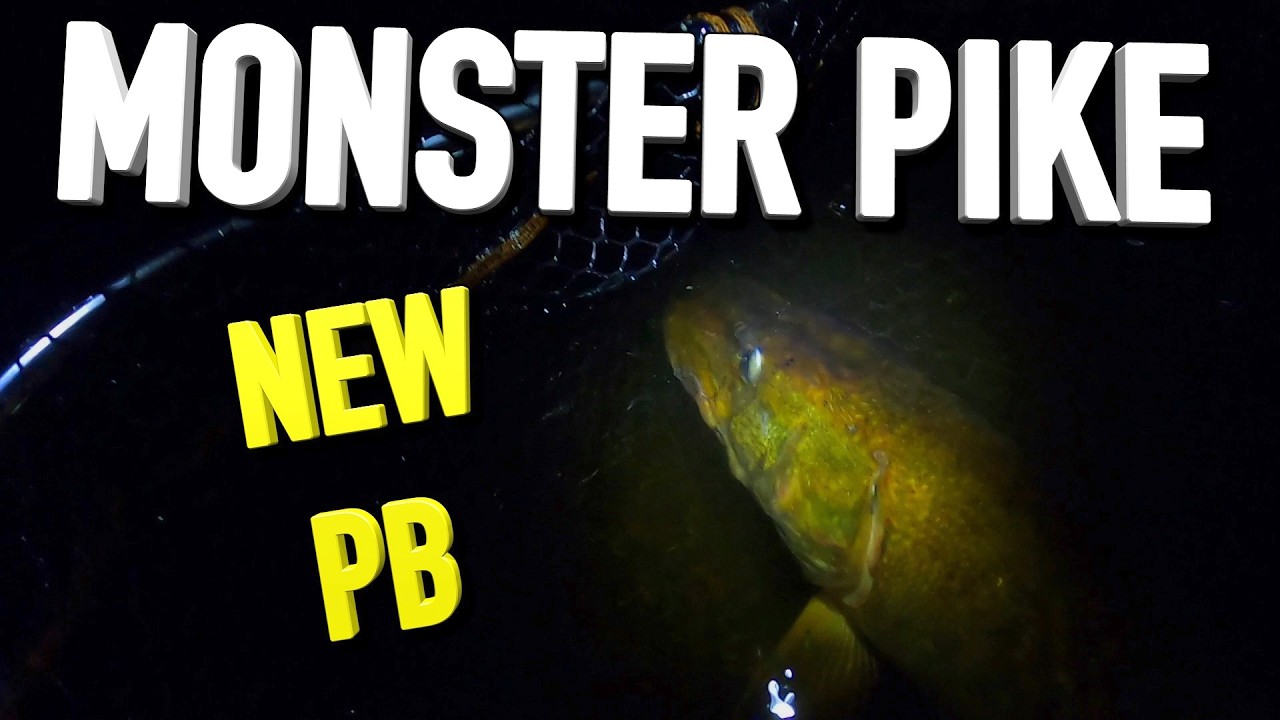 Deadbaiting for pike, we catch a monster: Must See!! (Fishing Scotland)