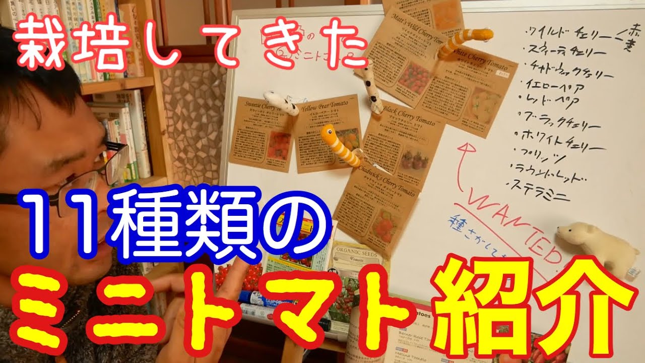 【ちょこ農講座】第23回②栽培してきたミニトマトの品種の特徴紹介：2020年4月3日