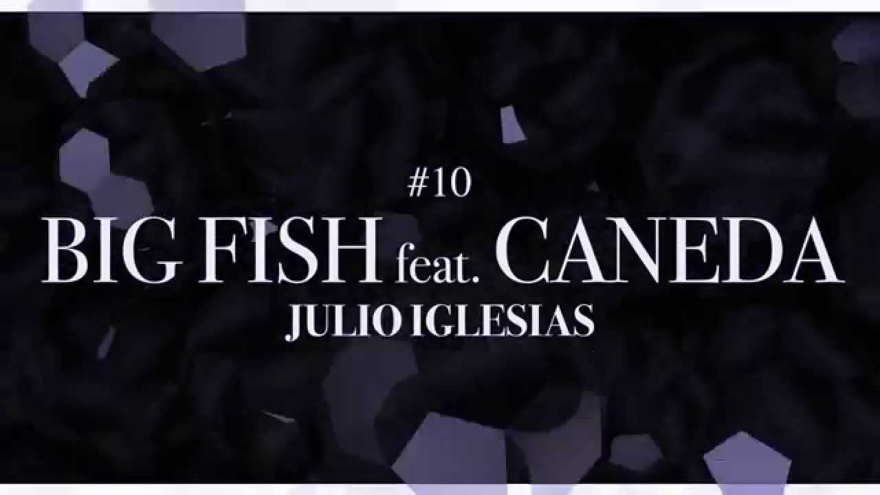 Big Fish feat. Caneda – Julio Iglesias (Doner Bombers Vol. 3 - #10)