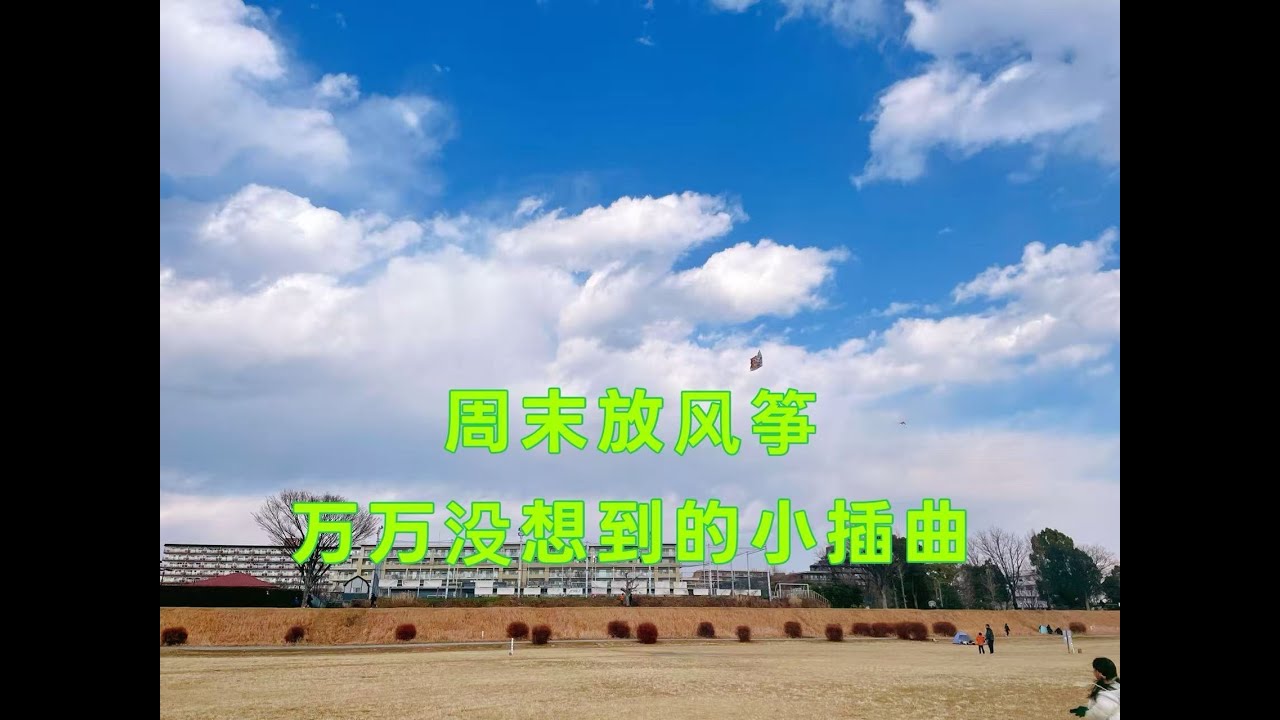 悠闲的周末时光，带娃放风筝的一天，却遇到了个小插曲
