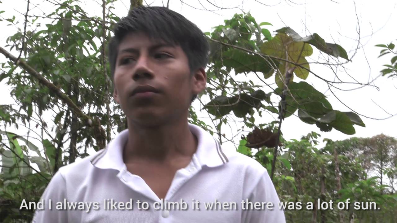 Testimonio 2016 Niño Colombiano