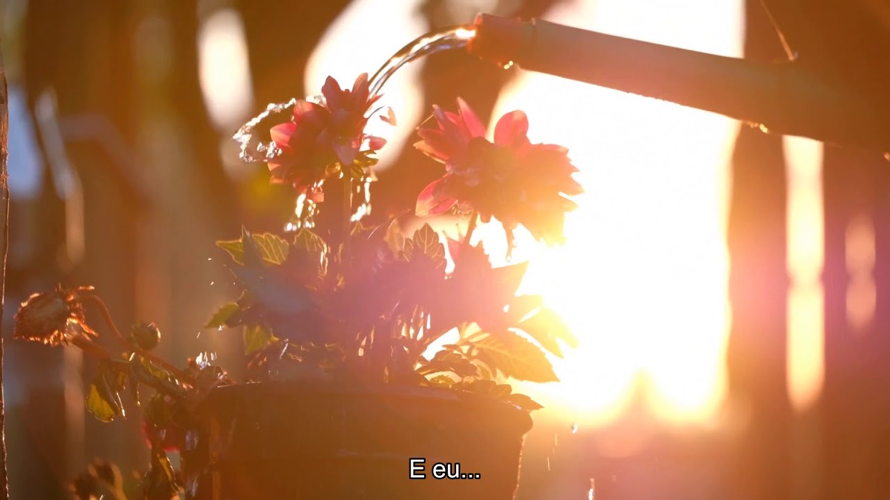 Terry Winter - Our Love Dream (Legendado em PT- BR)
