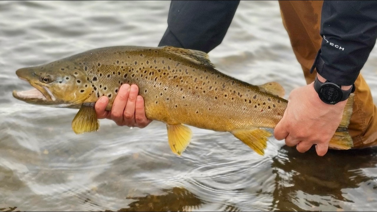 PESCANDO TRUCHAS EN TIERRA DEL FUEGO - USHUAIA, TEMPORADA 2025/2026