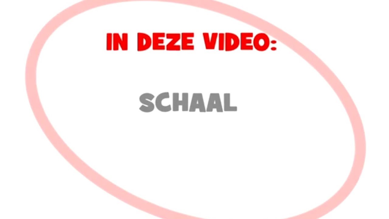 Rekenen met schaal