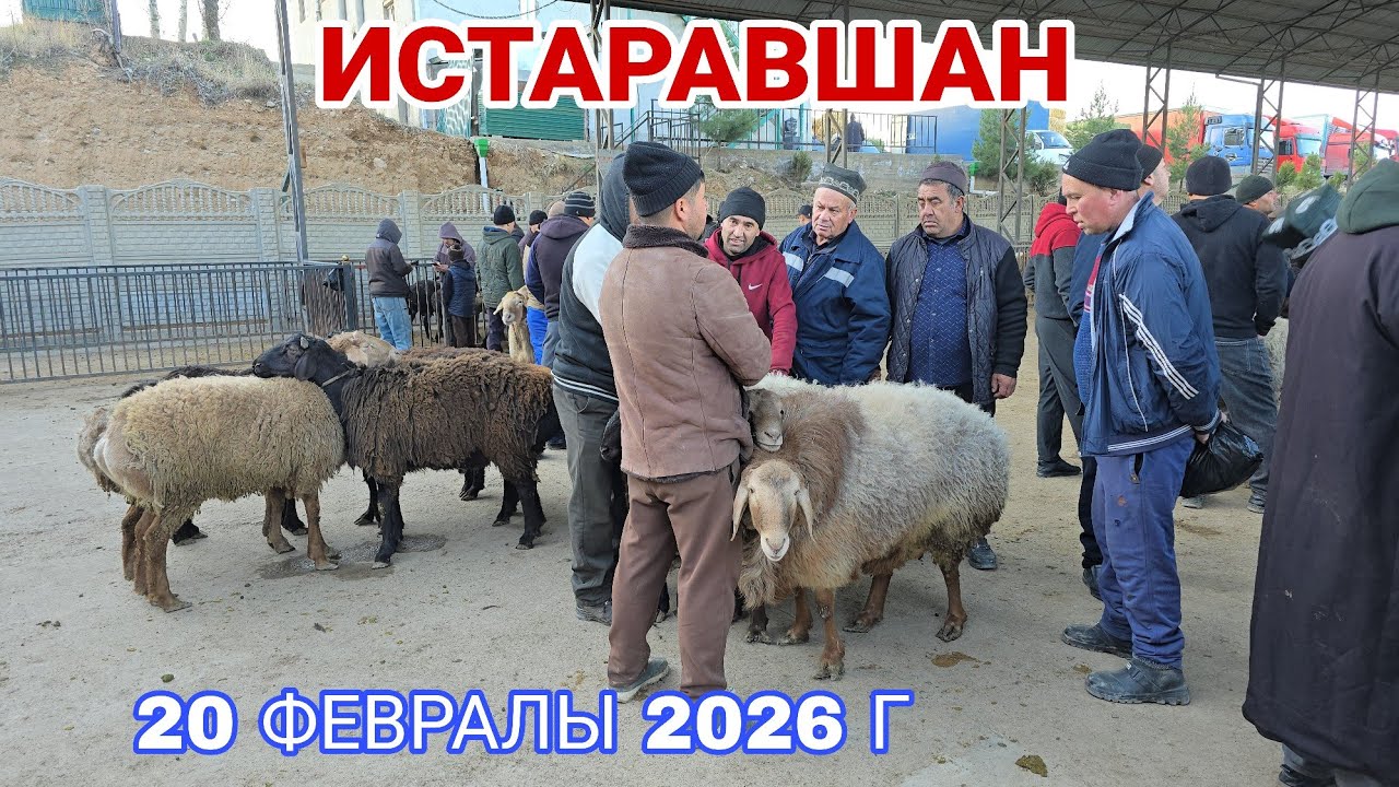 ИСТАРАВШАН ! РАФТАМ НАРХОИ КУЧКОРХО...#rek #rekomendasi #khujand 