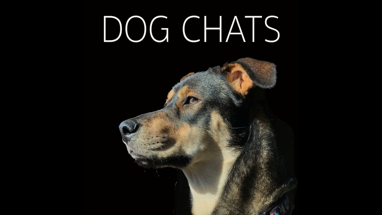 Episode 38: Dog Parks- The Good, The Bad & The Barky