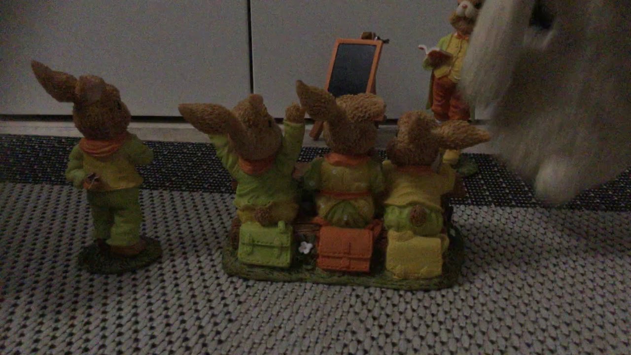 Hase und Hund in der Hasen Schule 🏫