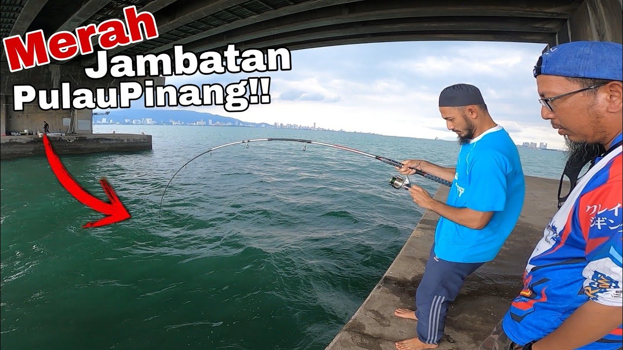 #31 PENGHUNI MERAH BAWAH JAMBATAN PULAU PINANG