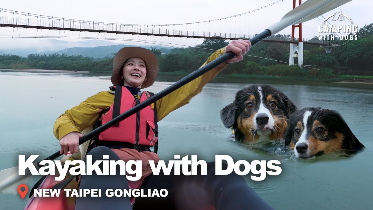 Welcoming Taiwan’s First Light of Dawn | Camping with Dogs