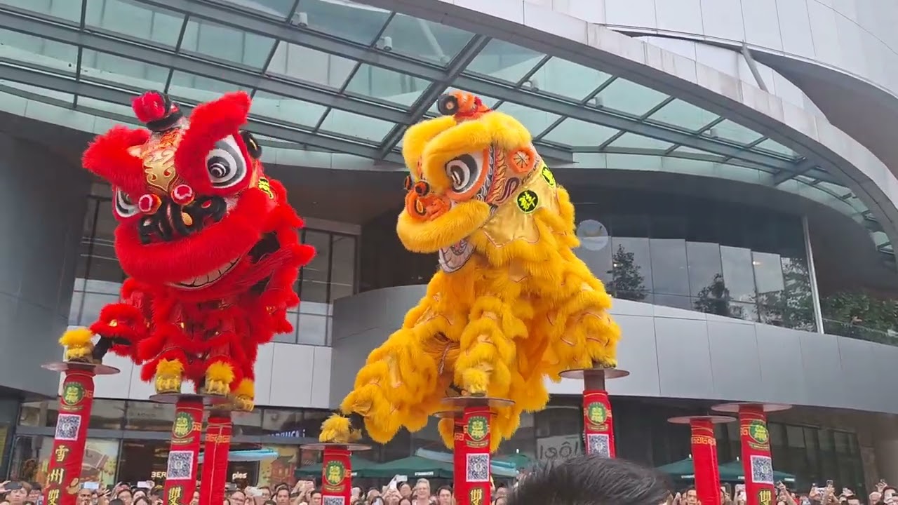 Spectacular Acrobatic Lion Dance . Starling Mall.2nd Feb 2025.