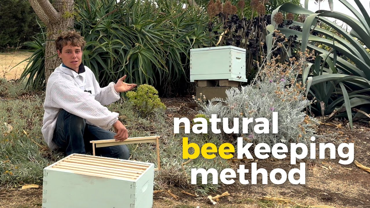 How I am making nutrient-dense honey