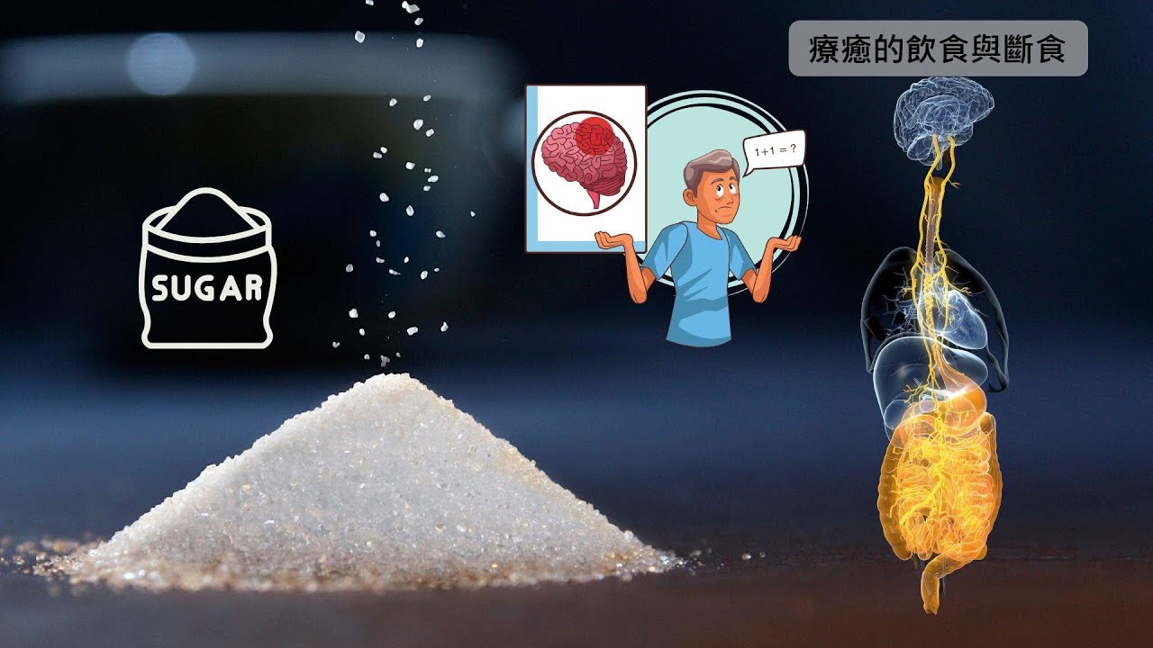 楊定一：不吃精製糖、多吃蔬菜，讓腸道菌恢復也建立聰明健康的大腦，搭配好脂肪高纖生酮飲食讓頭腦和身體充滿活力與能量－療癒的飲食與斷食QA(37)