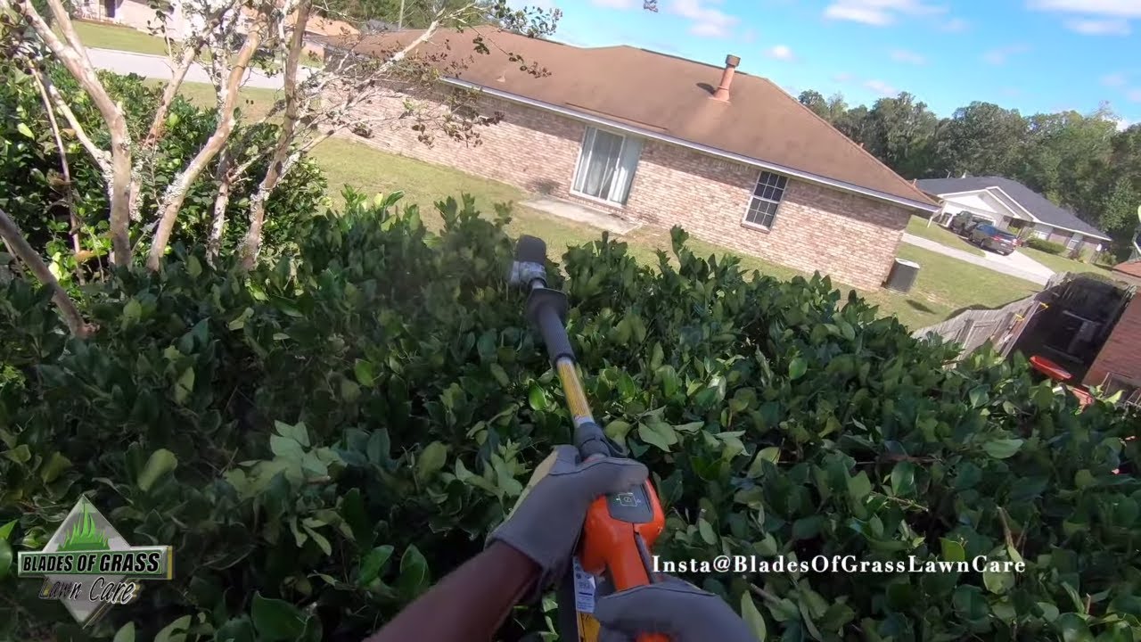 Husqvarna 520iHE3 POV trimming tall bushes