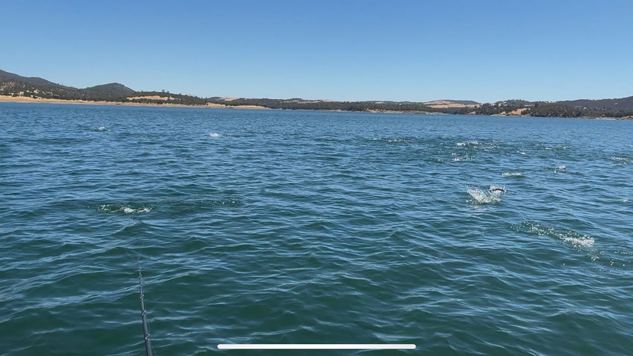 New Hogan Lake BOILS (8/5) GETTING HOTTER
