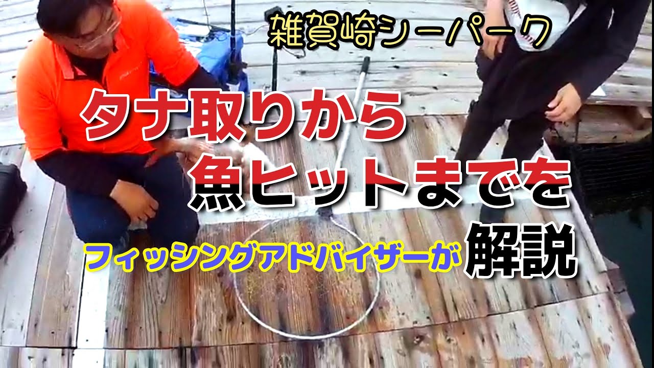 みんなで楽しく海上釣堀  フィッシングアドバイザーが解説(雑賀崎シーパーク)