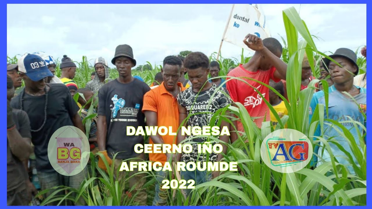 NEW VIDEO DAWOL NGESA CEERNO IÑO AFRICA ROUMDE LE 13/07/2022 WA BG MADINA GOUNASS