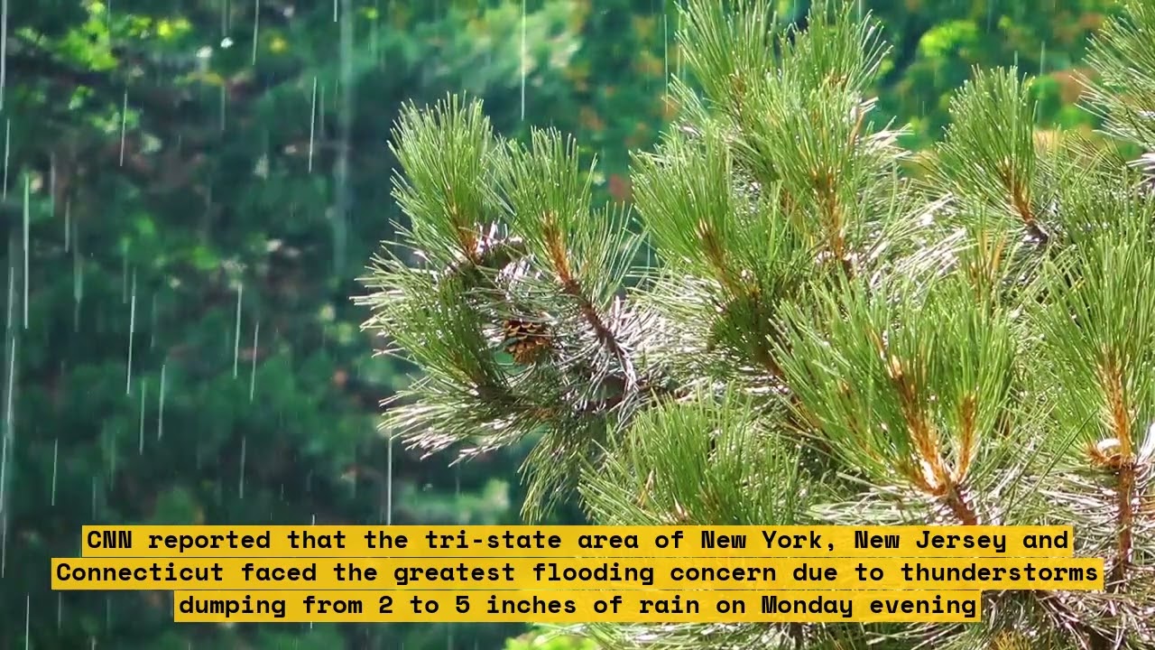 How the Peace Region is coping with the flood threat and the heavy rain
