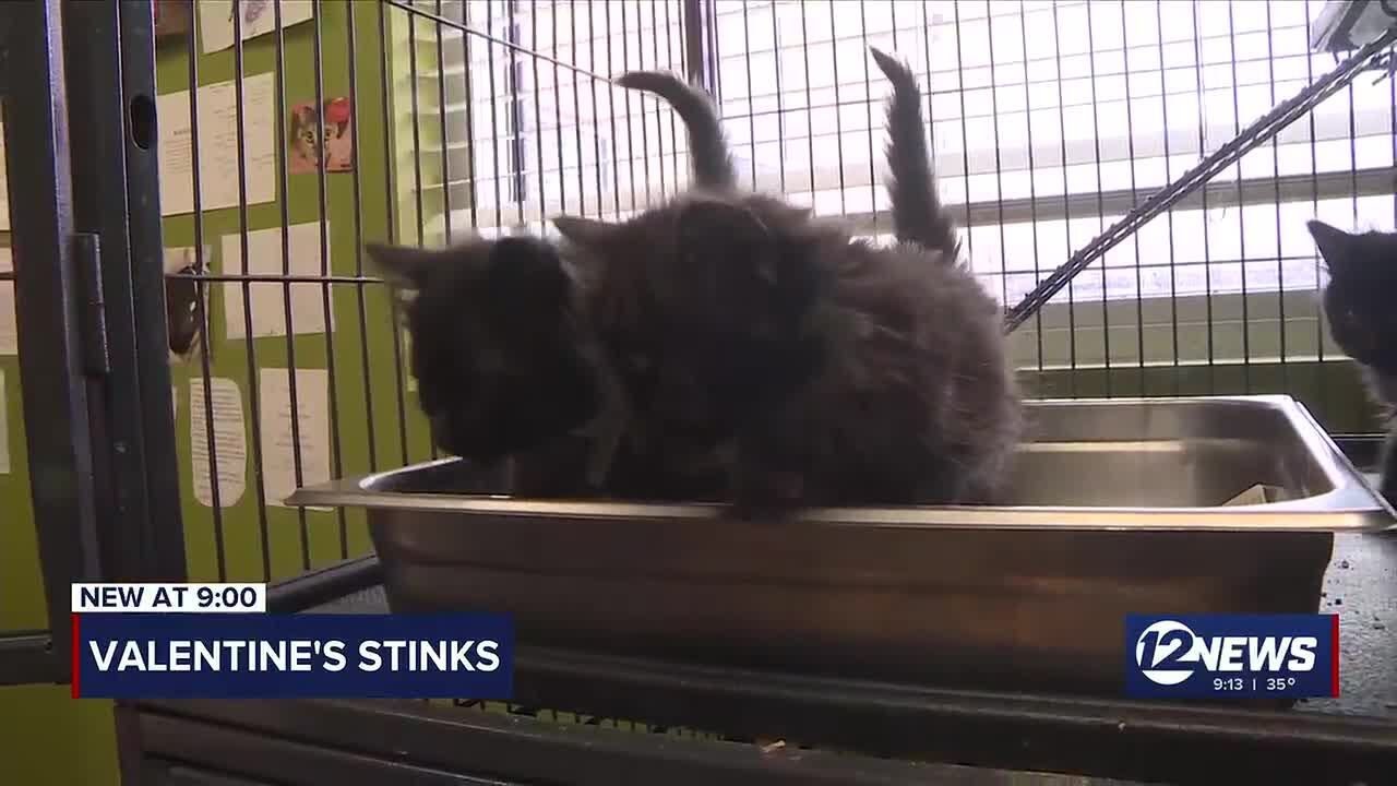 love stinks
