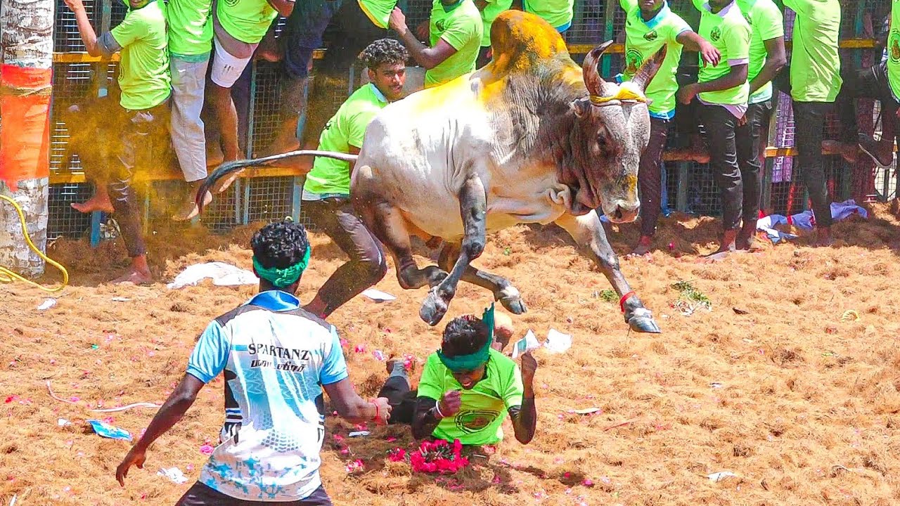 Periya Kurumbapatti Jallikattu 2026 Videos  | பெரிய குரும்பபட்டி ஜல்லிக்கட்டு 2026 Videos