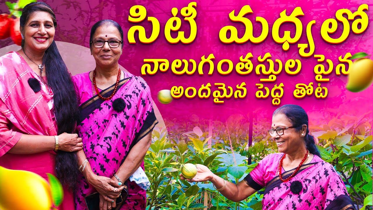 🔴 Rare Fruit Plants in a Beautiful Terrace Garden 🌿 | Kamala Garu’s Terrace Garden Tour 🍋🍇