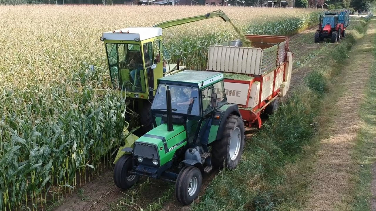 Chopping corn with HSFM