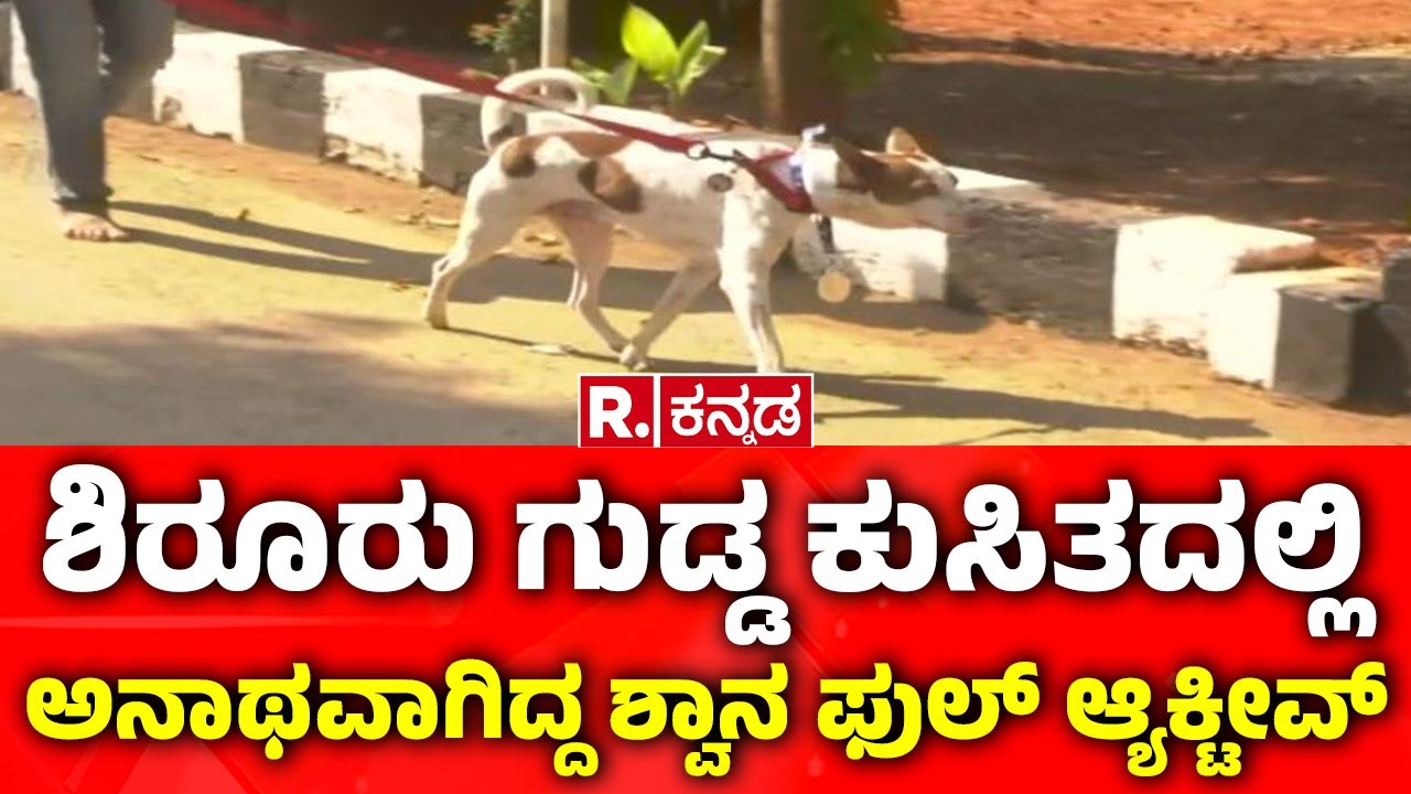 Shirur Landslide | Rescue Dog:  ಶಿರೂರು ಗುಡ್ಡ ಕುಸಿತದಲ್ಲಿ ಅನಾಥವಾಗಿದ್ದ ಶ್ವಾನ ಫುಲ್ ಆ್ಯಕ್ಟೀವ್  | Karwar