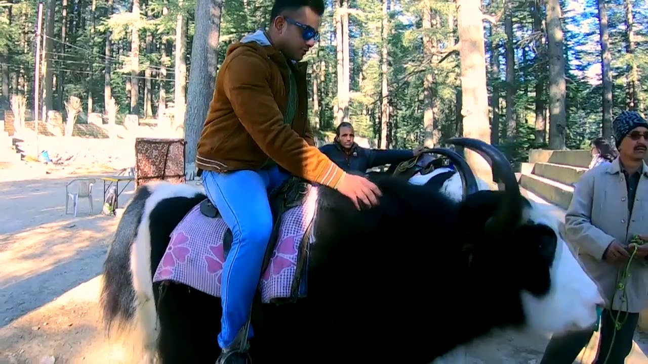 MANALI Series