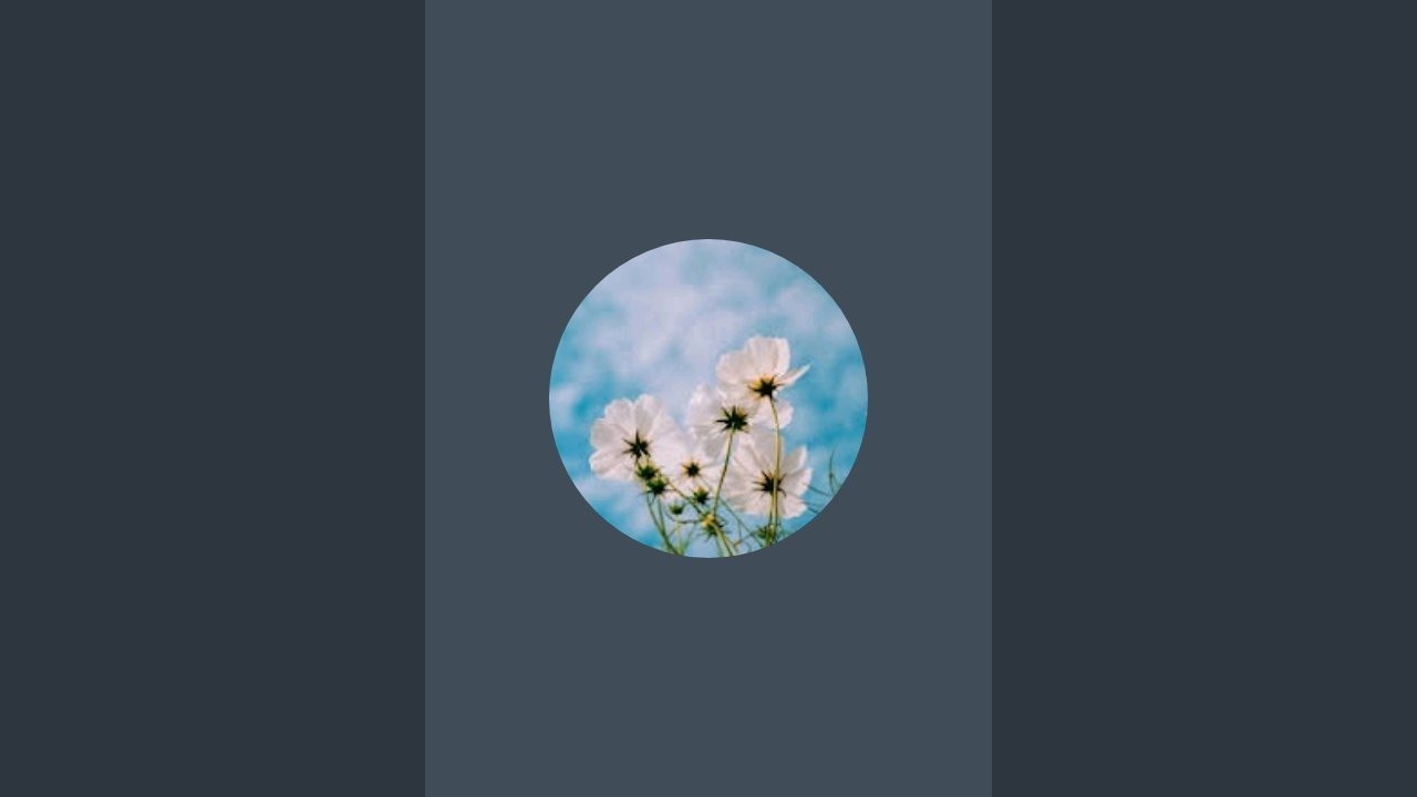 𝑩𝒉𝒖𝒗𝒂𝒏𝒂 𝒔𝒂𝒊 𝒗𝒍𝒐𝒈𝒔 is live!