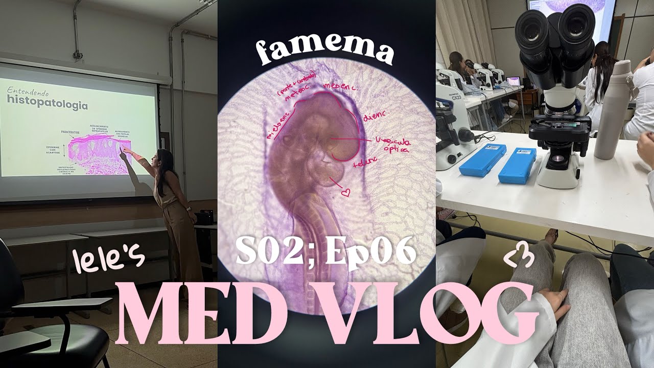 #medvlog S02, Ep06 - reta final do primeiro ano de medicina na famema (exames f&iacute;sicos, embriologia&hellip;)