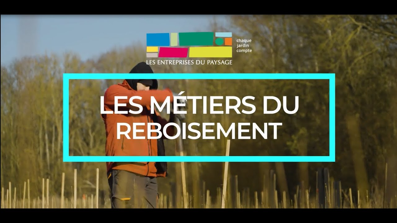 Le reboisement : un métier au service des forêts
