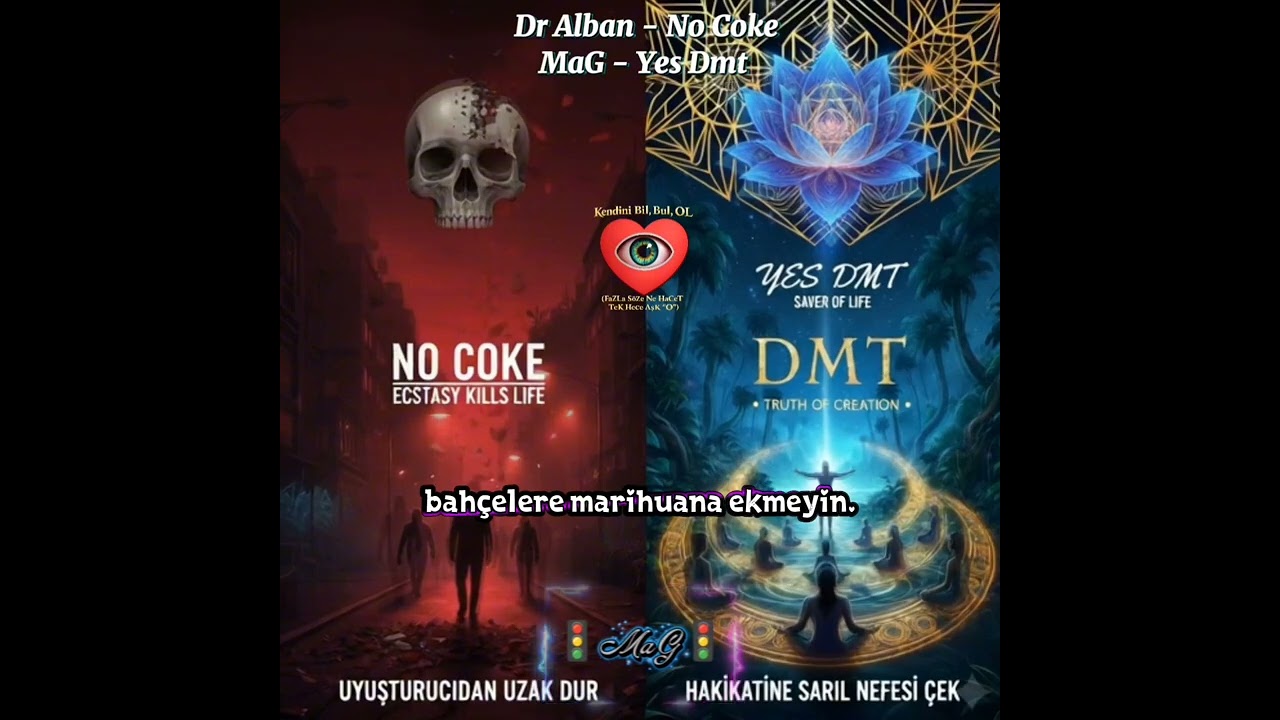 Dr Alban - No Coke & MaG - Yes Dmt 