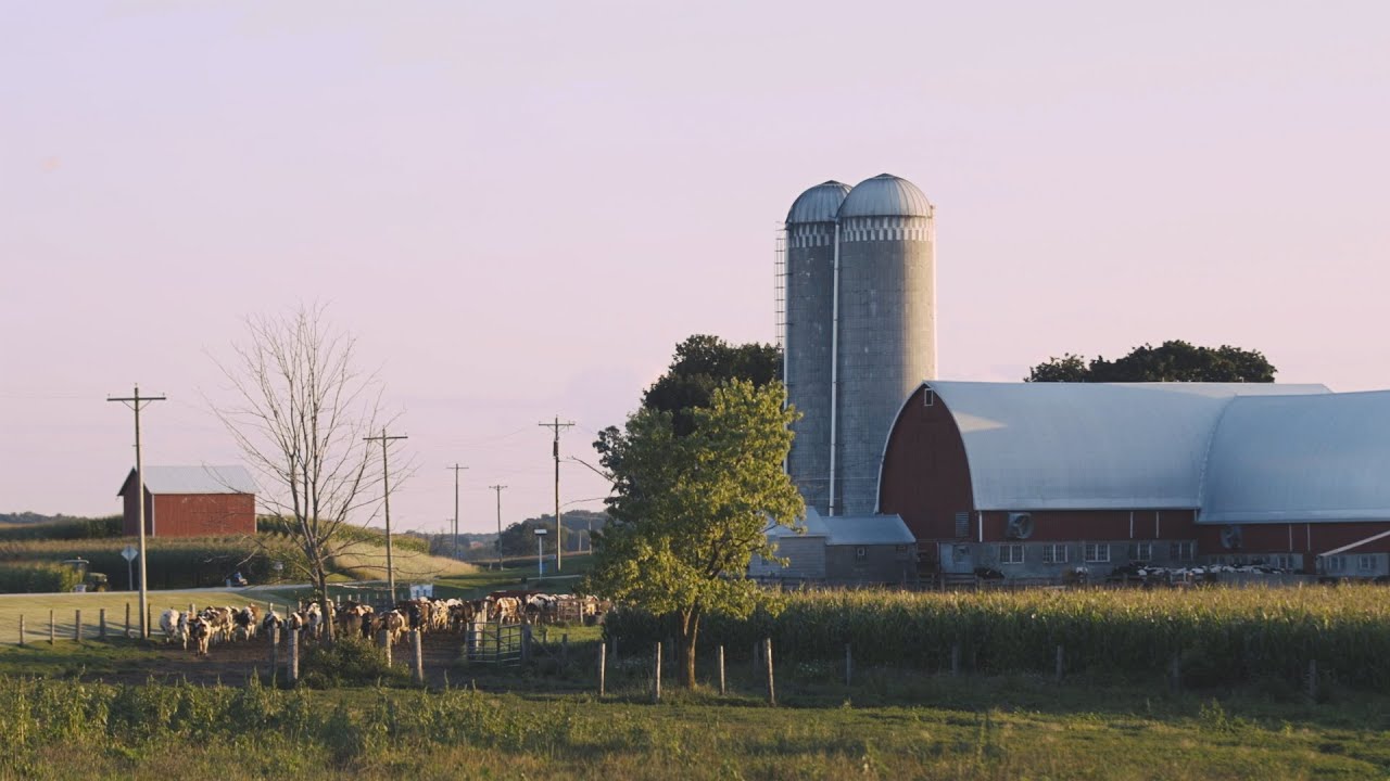 Working Together: Hildebrandt Family Farms