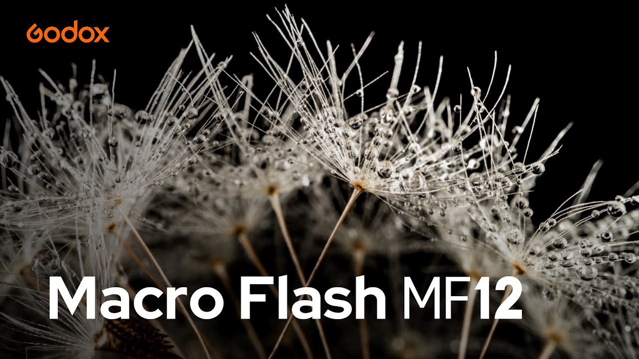 Godox: Meet Macro Flash #MF12