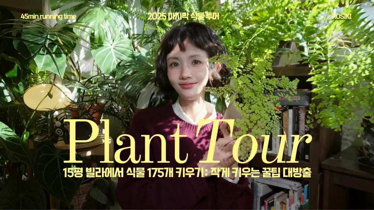 좁은 빌라에서 식물 177개 키우는 사람의 현실 투어🌿 | 겨울 집식물 근황 (긴 영상)⛄️