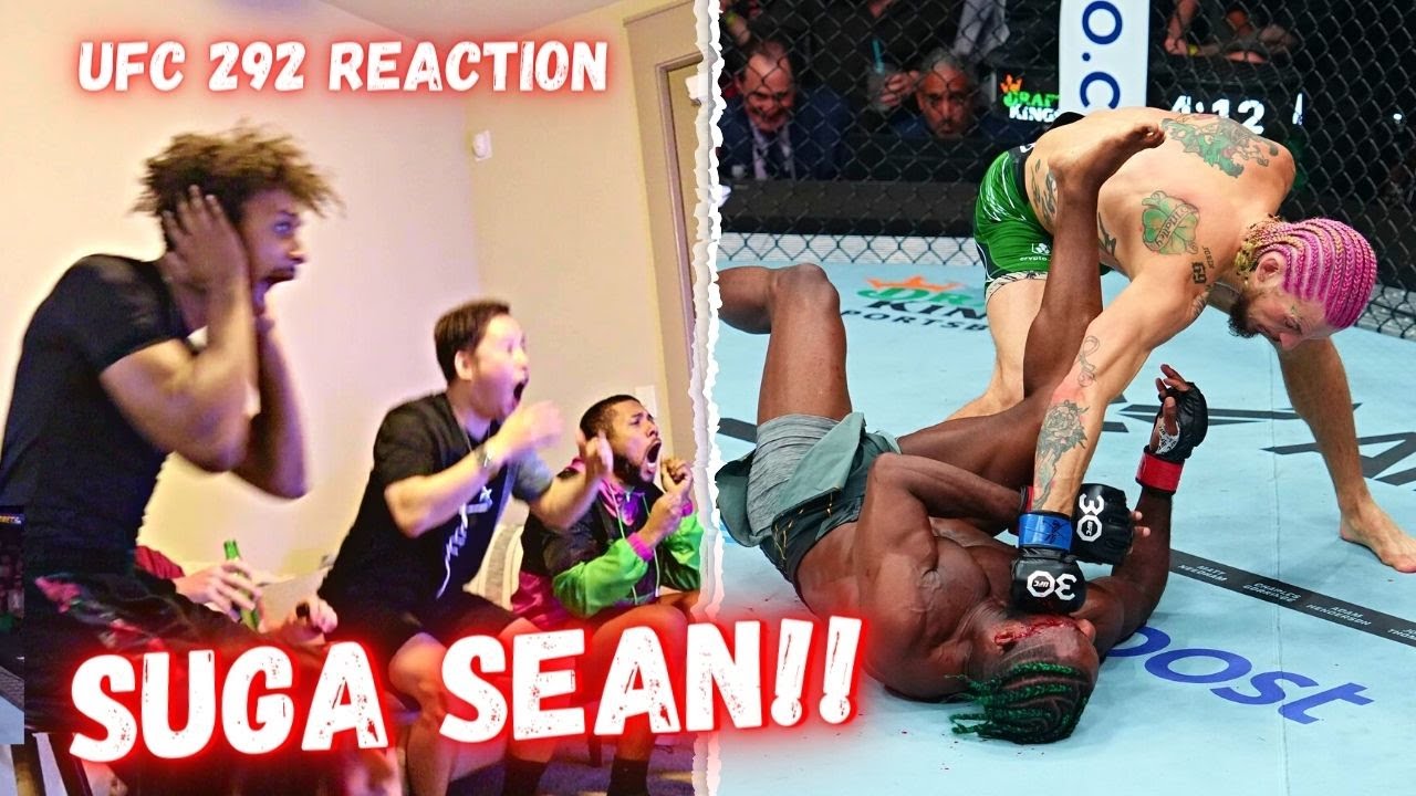 HILARIOUS Reaction to Sean O'Malley KNOCKING OUT Aljamain Sterling at UFC 292