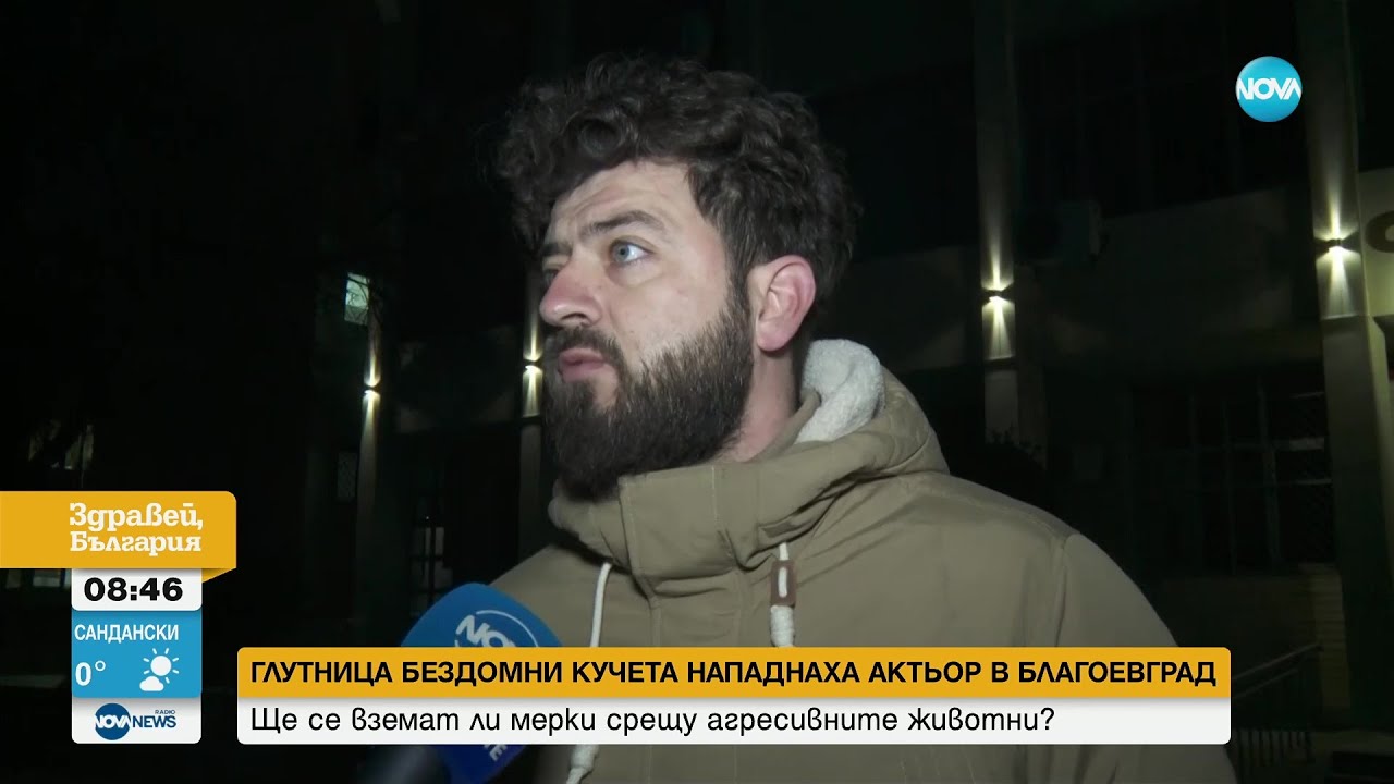 Глутница бездомни кучета нападна мъж в центъра на Благоевград - Здравей, България (15.02.2023)