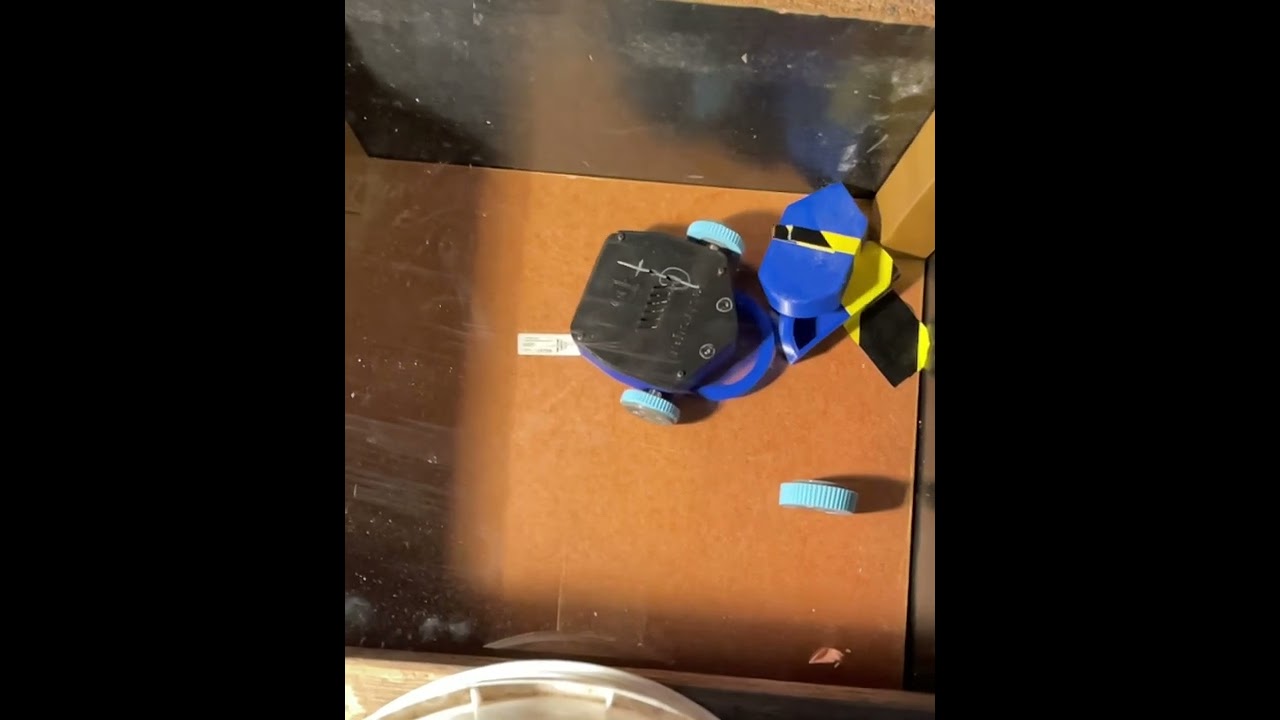 Test 3 4mm thick dummy