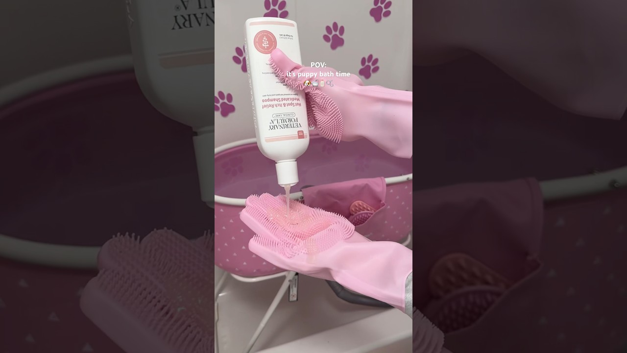 it&rsquo;s bath time! #shorts #puppy #pink #asmr #asmrvideo #poodle