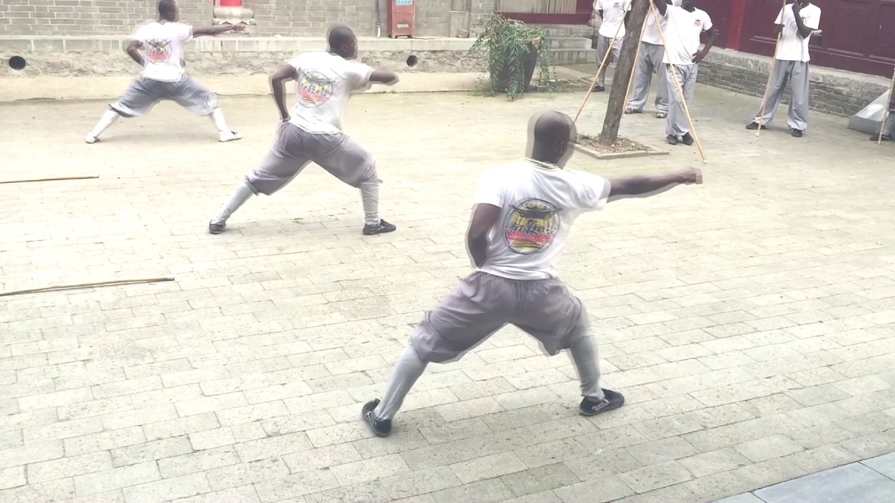 my shaolin temple story