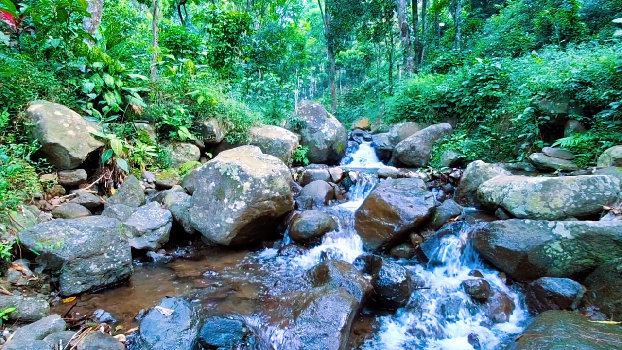 Natural River Sounds for Quiet Rest