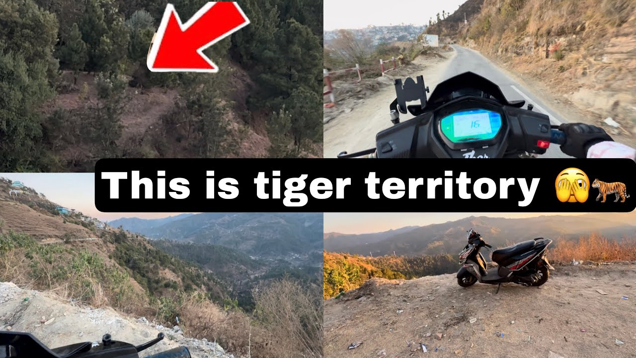 अल्मोड़ा में बाग का एरिया 🫣🐅