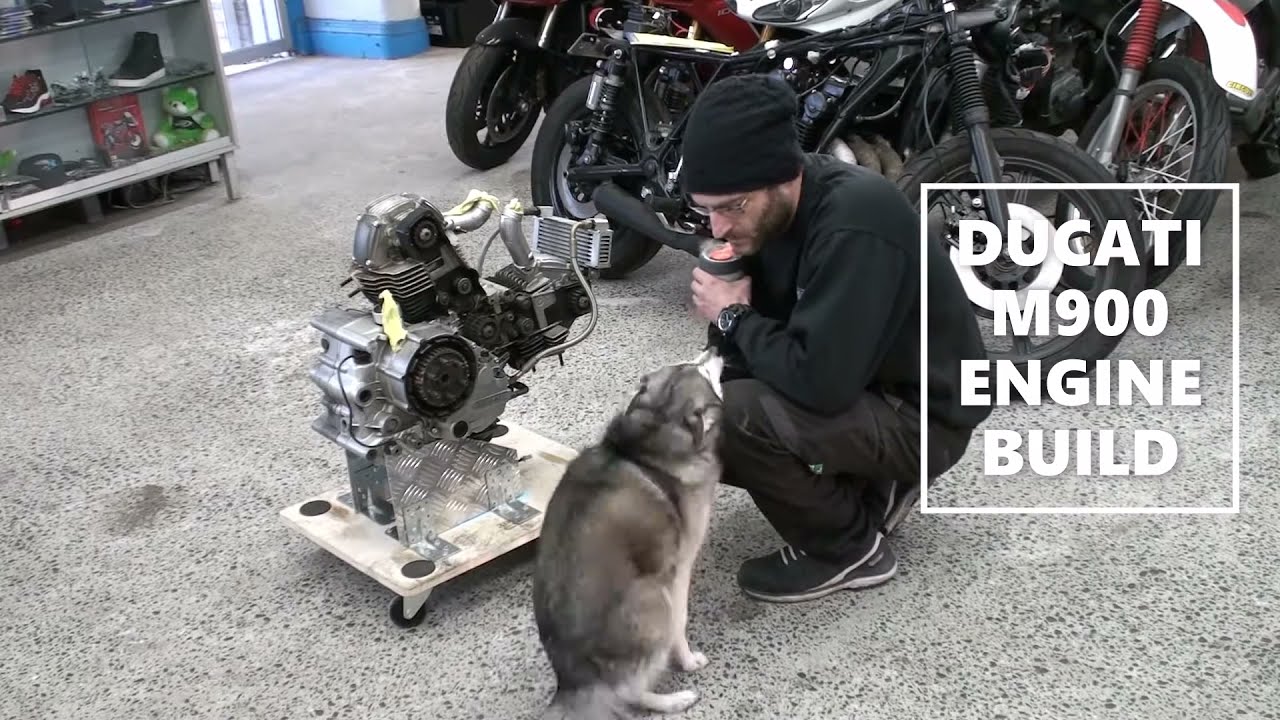 Ducati M900 hi-comp engine resto - PART 1 - disassembly