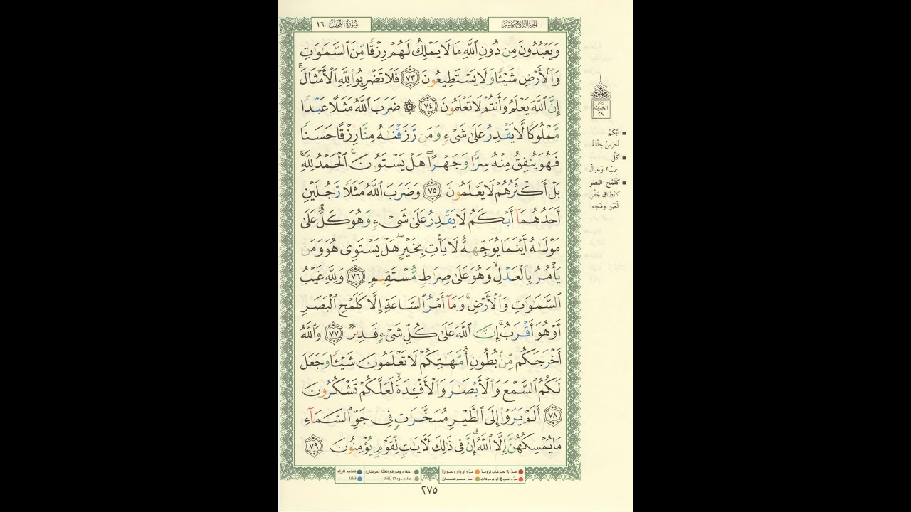 الورد اليومى سورة النحل من الاية 73 الى الاية 79 بصوت القارئ الشيخ ماهر المعيقلى #ماهر_المعيقلي