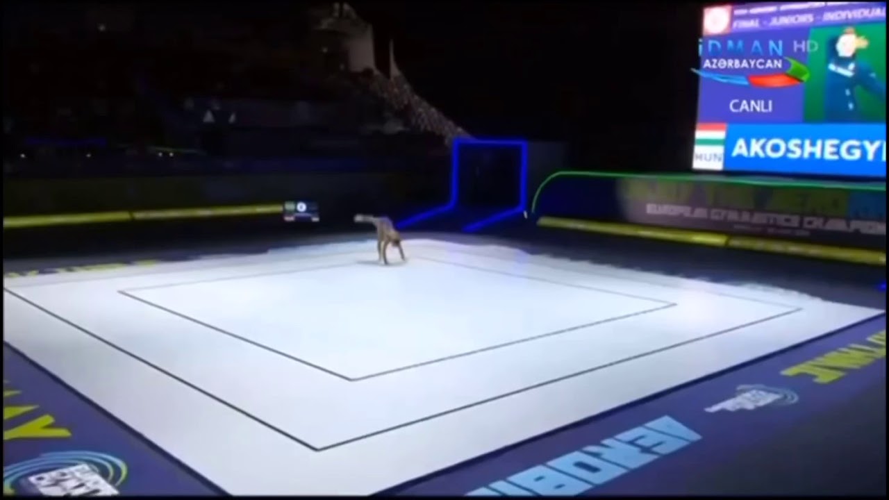AKOSHEGYI Dora (HUN) -   FINAL JUNIORS IW Aerobic Gymnastics European Championship 2019