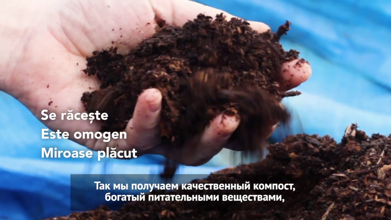 Что такое горячий компост и как его делают? InfOrganic