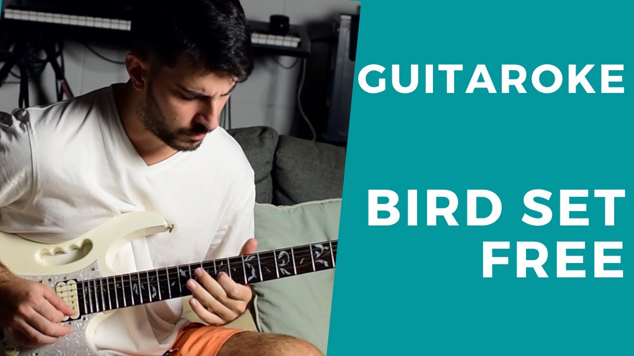 Guitaroke - Sia - Bird Set Free