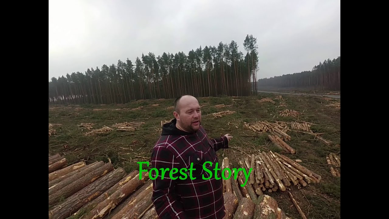 Forest Story- S10 już po temacie