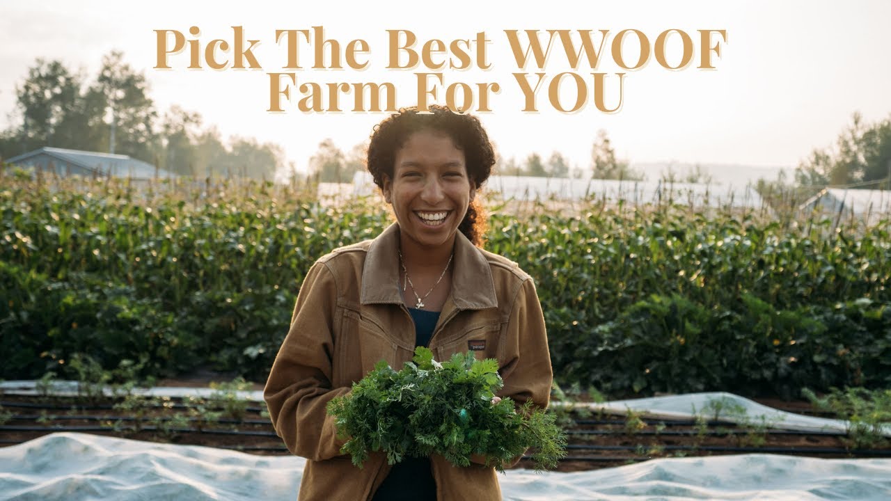 How to pick the best WWOOF Farm for YOU